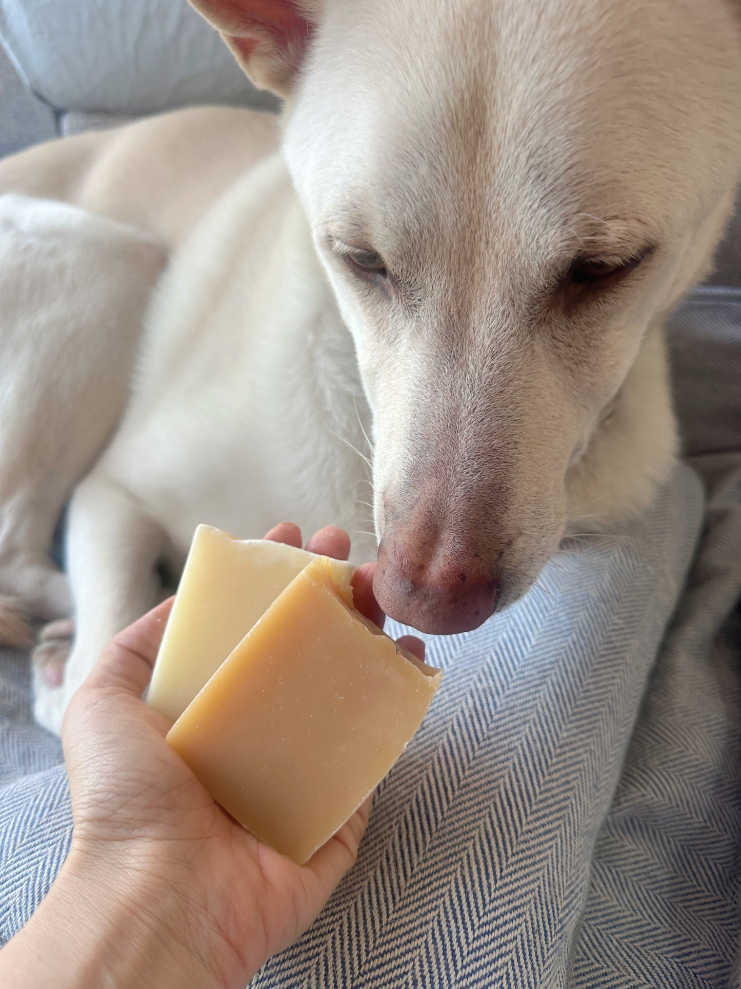 Artisan Organic Floral Soap